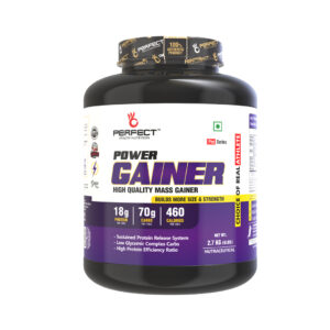 PERFECT HEALTH NUTRITION POWER GAINER (2.7 KG) CHOCOLATE